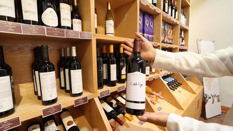 Querétaro: vino, queso y cerveza en la Ruta Real Tierra Adentro