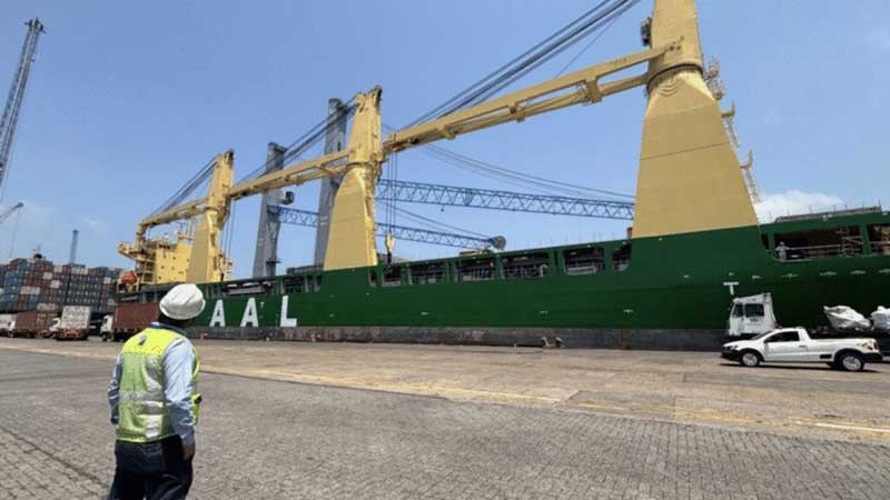 Hutchison Ports TIMSA recibe 2 grúas eléctricas de última generación con inversión de 300 mdp
