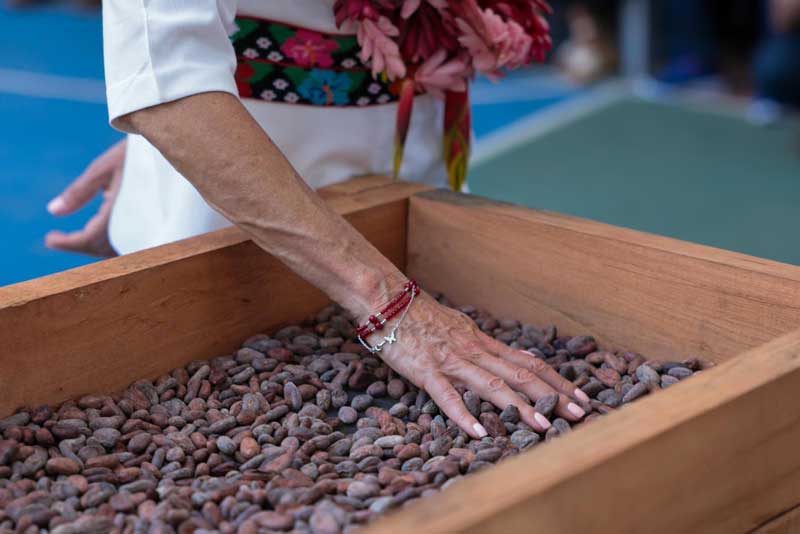 Sheinbaum resalta el papel de Tabasco en la soberanía alimentaria y el acceso al agua