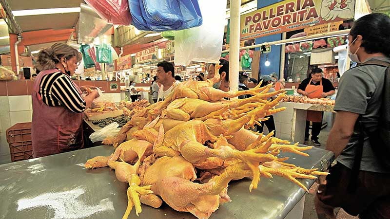 Estados Unidos y Brasil dominan en importaciones de carne de pollo a México