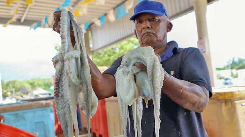 Caída en la producción de pulpo eleva precios