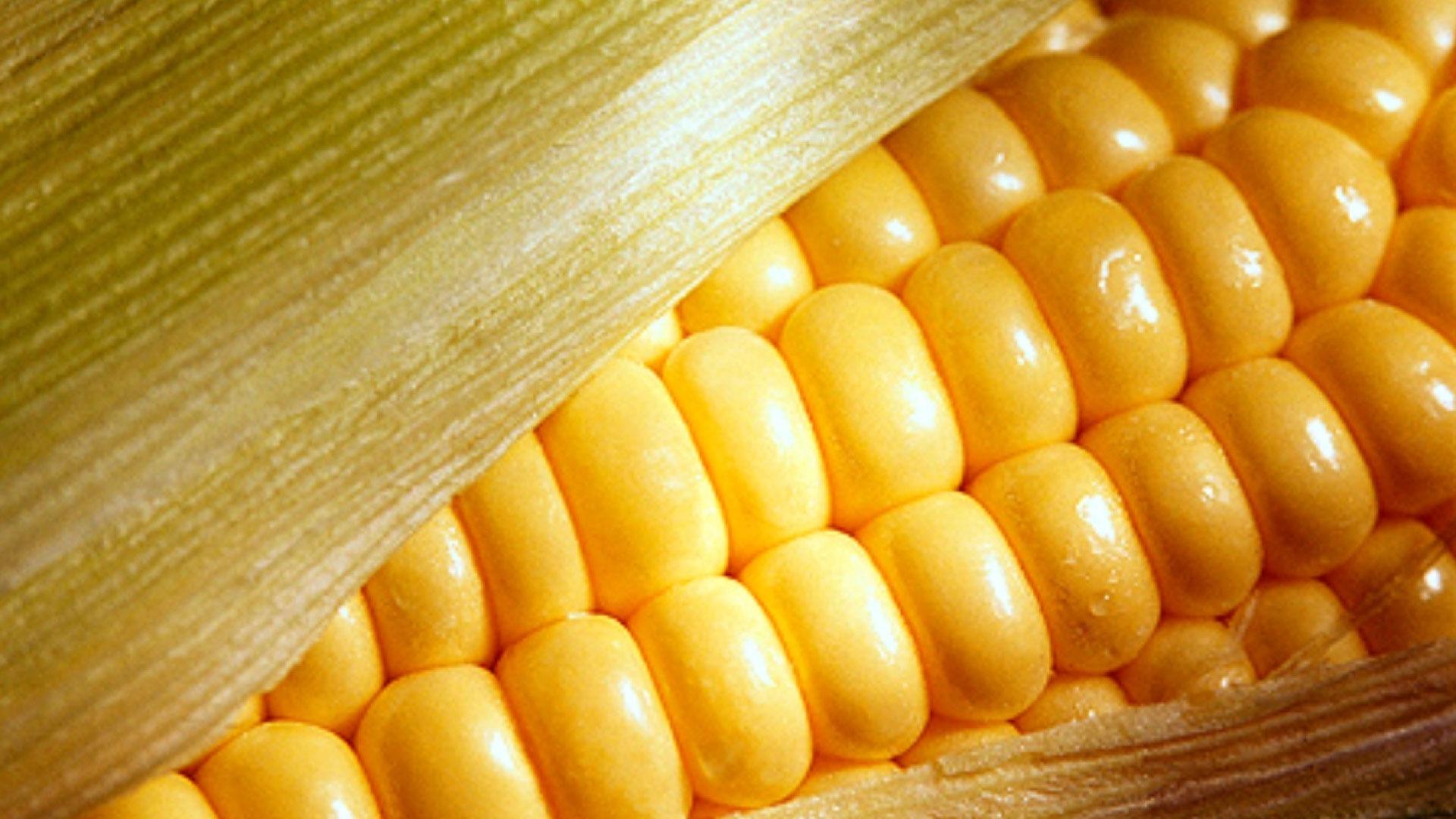 México ya es el séptimo exportador de alimentos