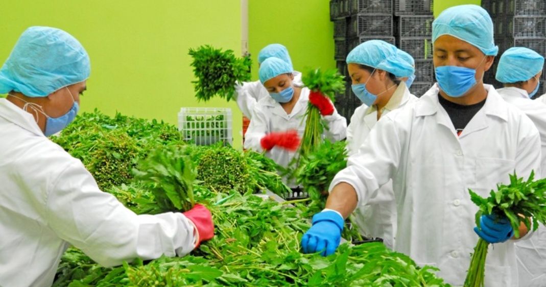 Exportaciones De México A EU Se Encuentran En Riesgo Por Nueva Ley.