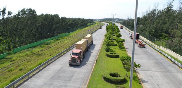 Mantiene APIVER programa de donación de plantas para reforestación