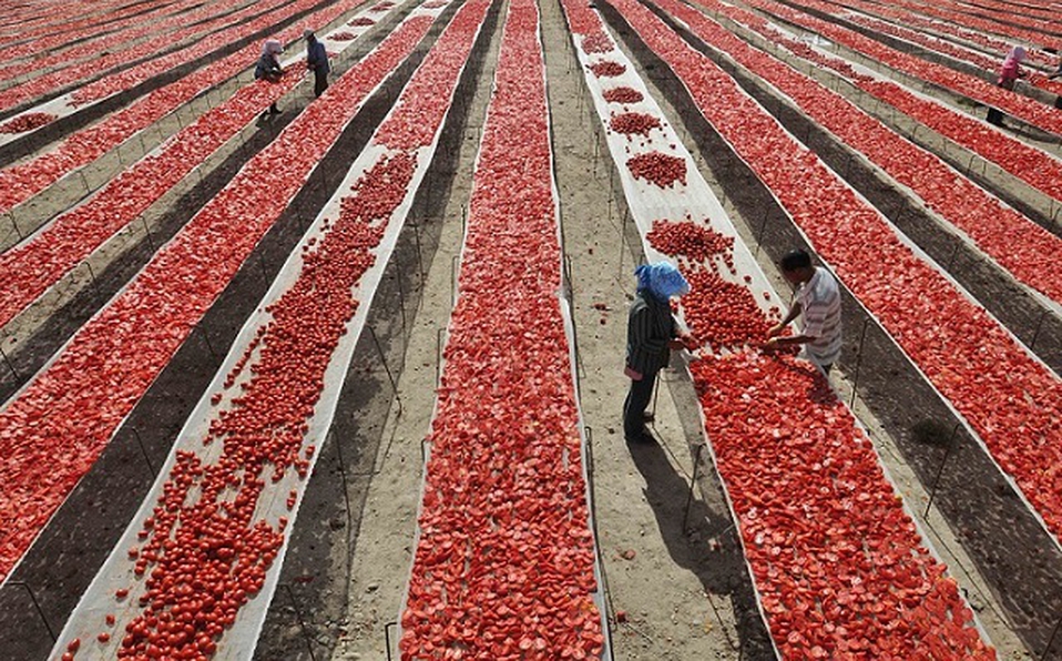 Aranceles al jitomate no afectarán ratificación del T-MEC, afirma Seade