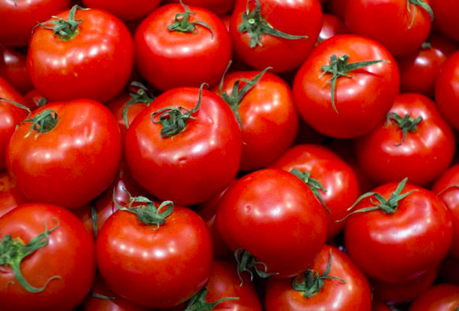 Jitomateros Piden A EU Frenar Cobro De Arancel.