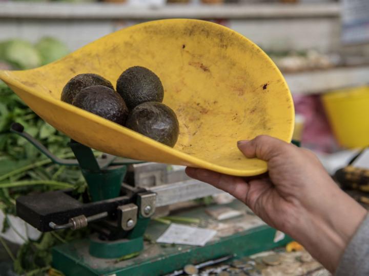 ¿Un kilo de aguacate $80? Este es el precio real