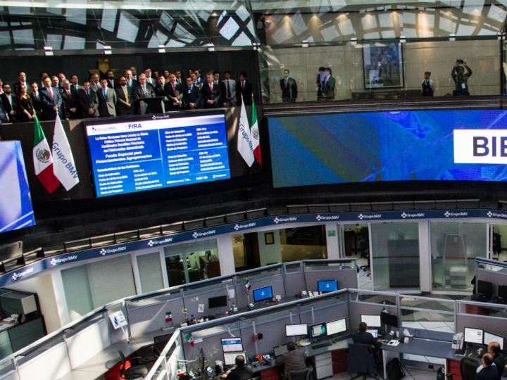 BMV y peso a la expectativa del G20