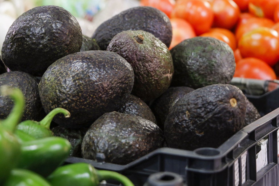 Se vende en Saltillo el kilo de aguacate en más de 70 pesos