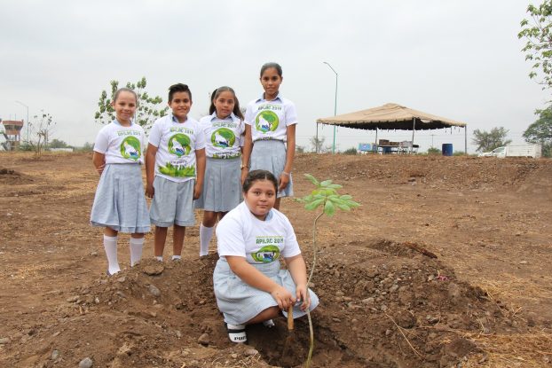 Realizan en el puerto de Lázaro Cárdenas campaña de reforestación