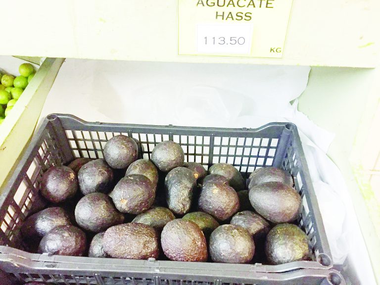 Alcanza aguacate los 130 por kilo