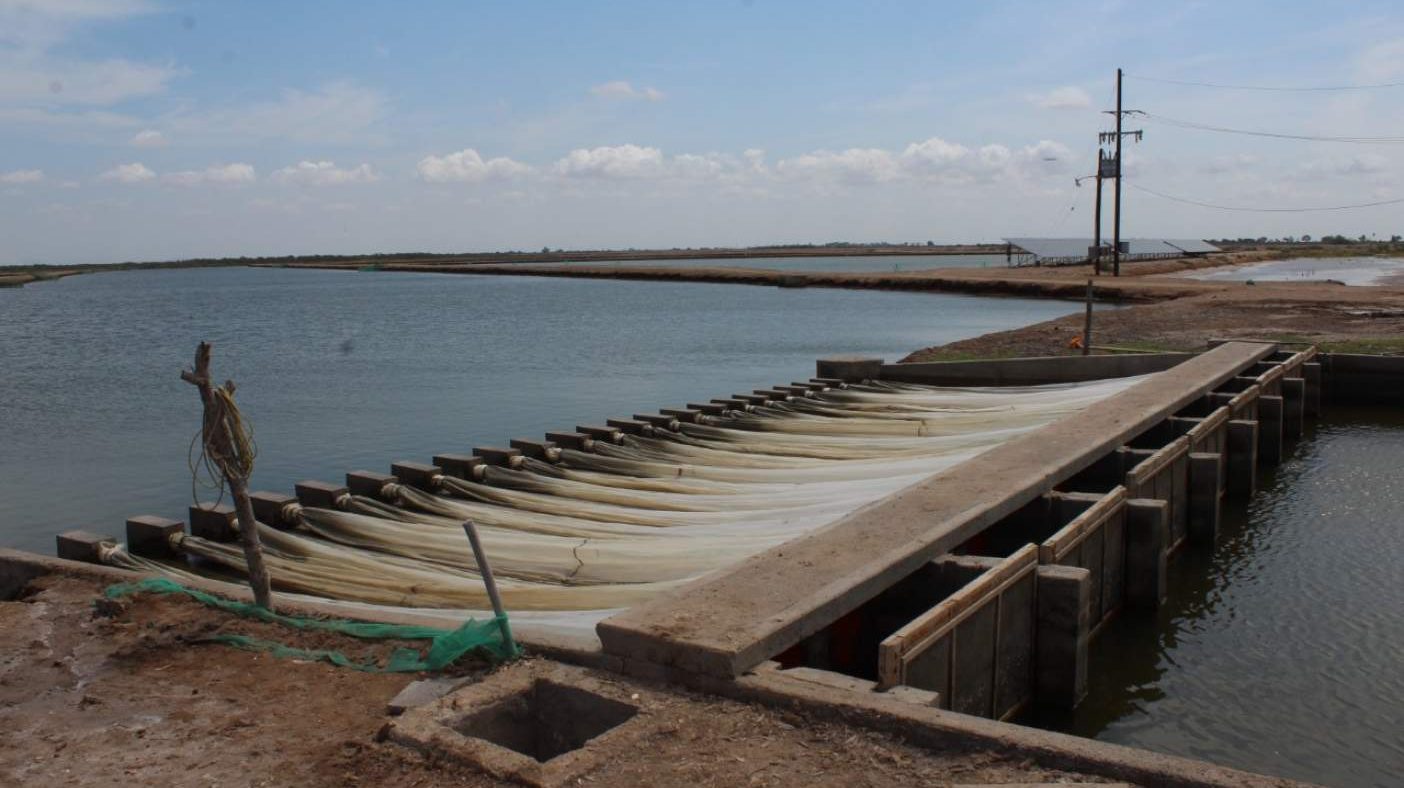 Se unirán acuacultores de Sinaloa a protesta del sector pesquero