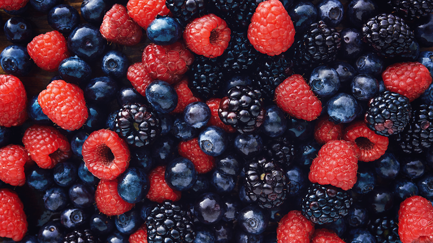 Las berries ya son el tercer producto agrícola de México más exportado