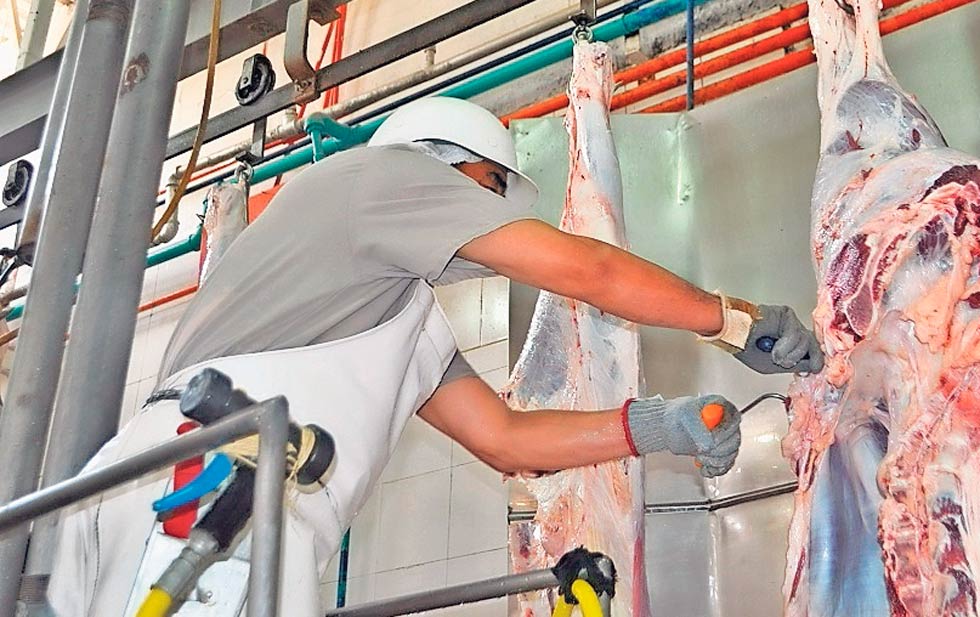 Van menonitas por mercado internacional de carne