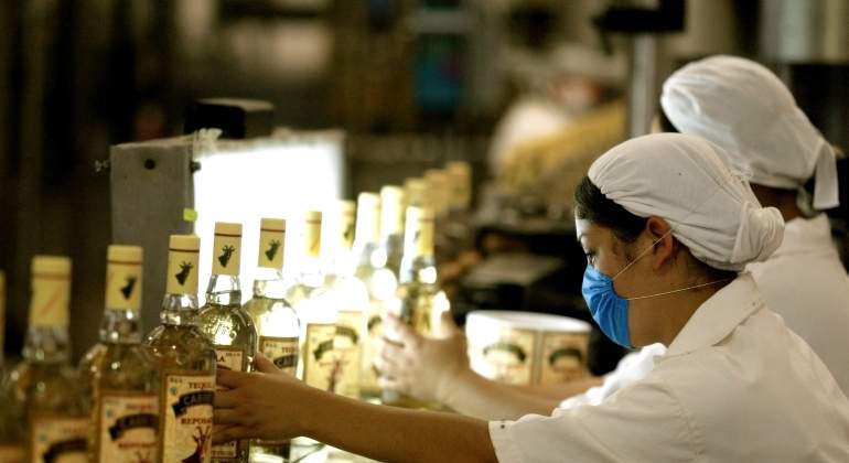 Producción de tequila aumentó 16% en 2018; más de la mitad se exporta