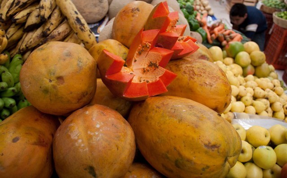 EU retira alerta contra papaya mexicana