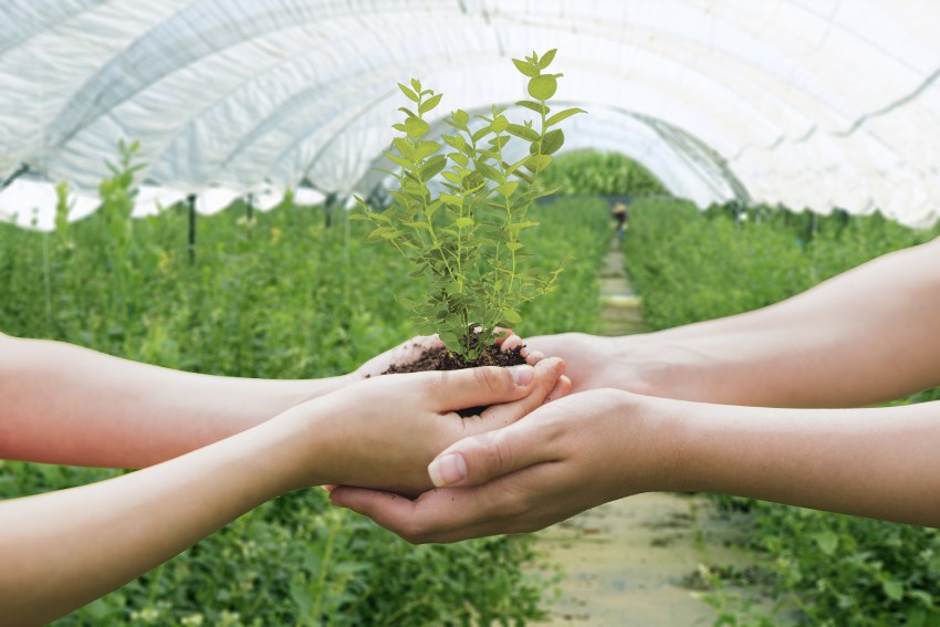 Todo listo para el Congreso Internacional de Aneberries