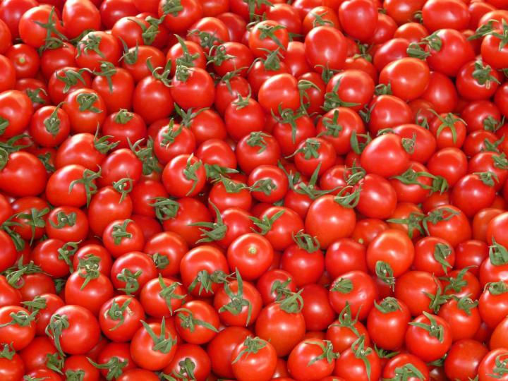 Buscan eliminar cuota en exportaciones de jitomate a EU