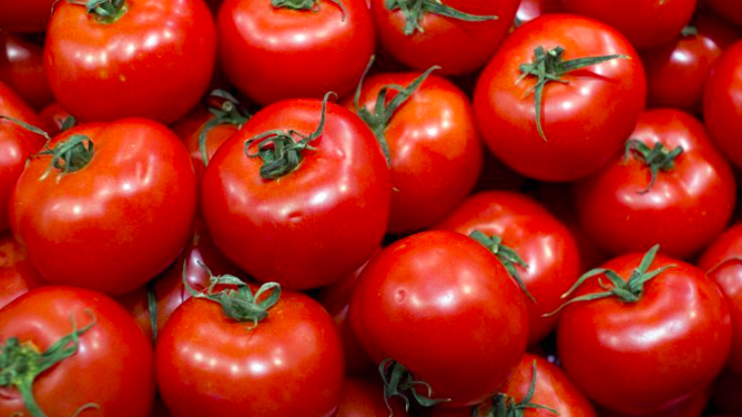 Acuerdo De Exportación De Jitomate México-EU Entrará En Vigor El 19 De Septiembre.