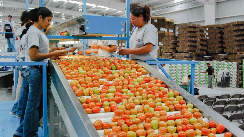 Balanza agroalimentaria de México registra superávit de 6mil 147 mdd en primer semestre de 2019