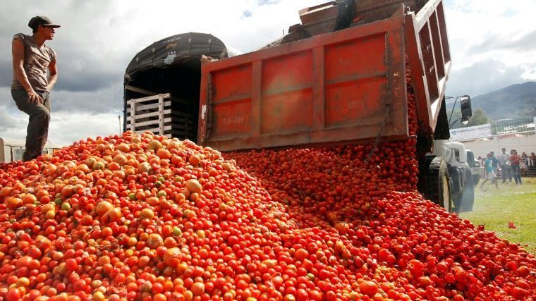 EU flexibiliza sus exigencias a las importaciones de tomates mexicanos