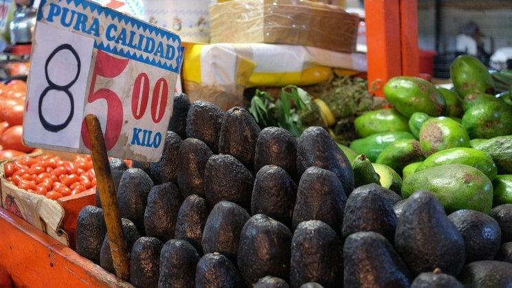 Crece 5.9% exportación de alimentos mexicanos en primer semestre