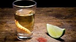 Mezcal de Oaxaca se exporta a EU, UK y España