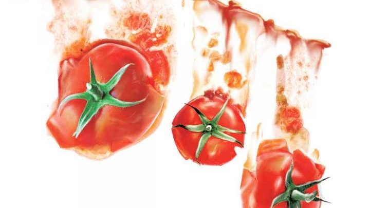 Exportaciones de jitomate caen 33%