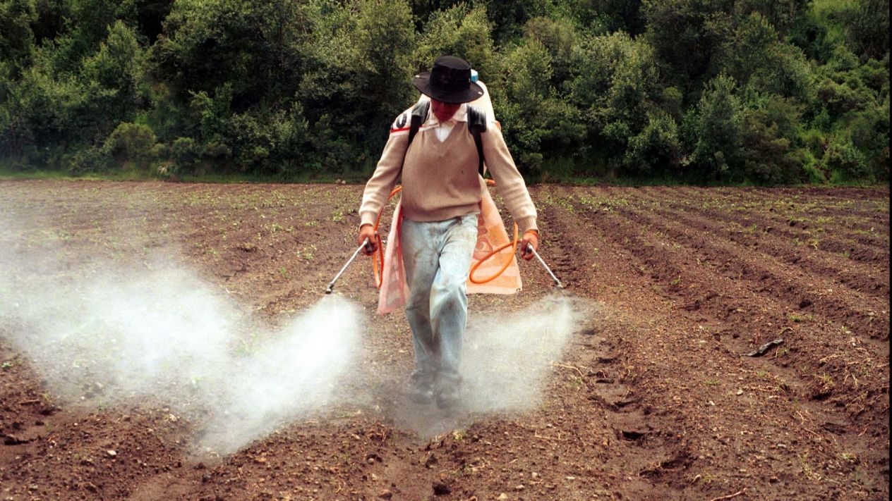 Firma suizo-alemana producirá fertilizantes en México