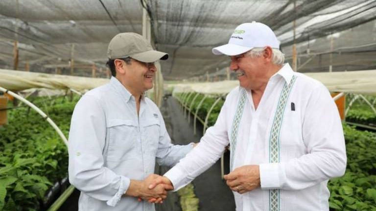 Presidente de Honduras visita México en busca de variedades de café resistentes