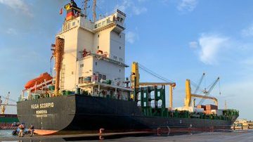 ZIM inaugura un nuevo servicio entre Veracruz y Centroamérica