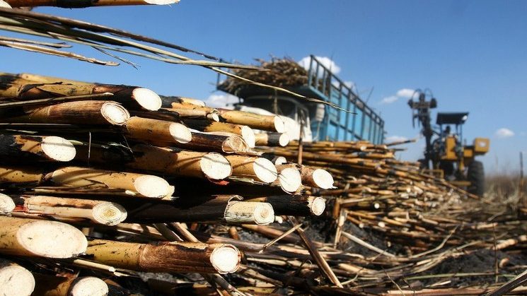 Incertidumbre en el sector azucarero