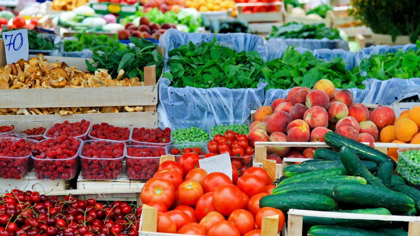 Incrementa balanza agroalimentaria de México en 28 por ciento