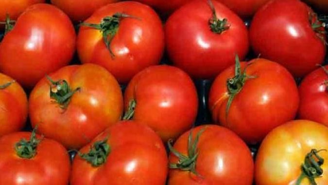 México y EE.UU. ultiman acuerdo sobre exportaciones de tomate