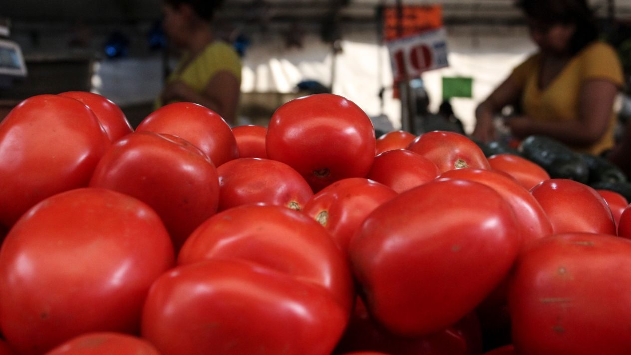 EU inspeccionará jitomates mexicanos en la frontera, pero no ha dicho cómo: Economía