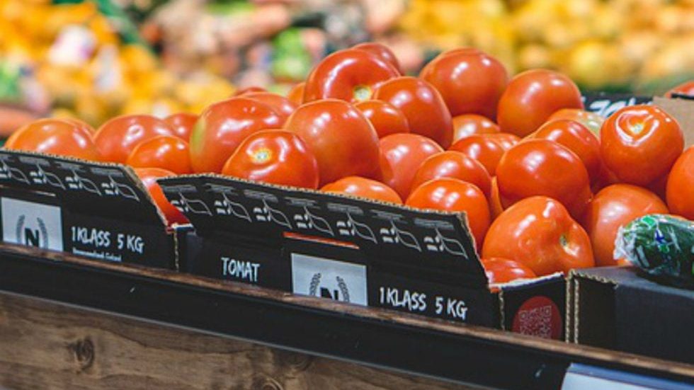 Siguen pláticas por arancel de EU a jitomate