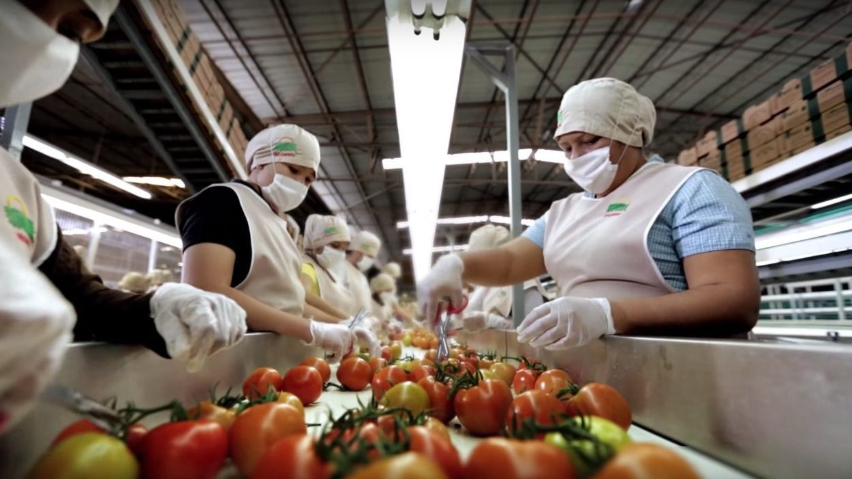 Sinaloa avanza en sus exportaciones en el primer semestre de 2019