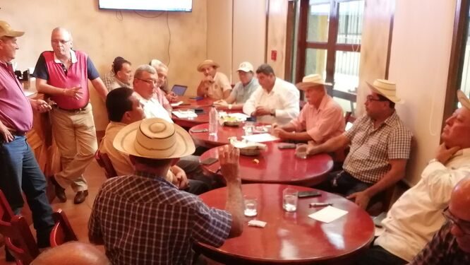 Ganaderos piden regular importaciones y endurecer penas por cuatrerismo