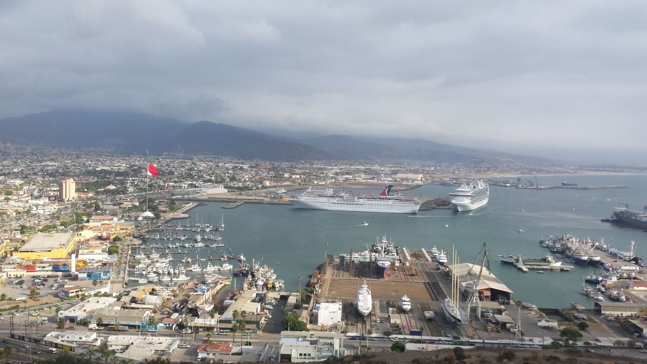 Suspenderá importación este año en aduana Marítima