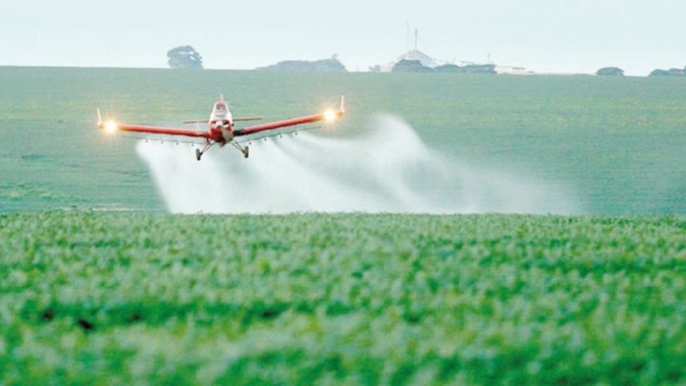 Sader: Tomateros mexicanos ocupan plan b debido a arancel de EU