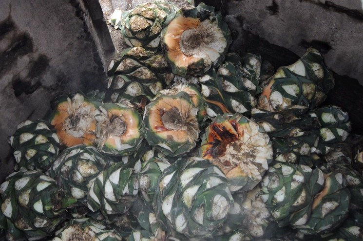 Mezcal quintuplica ventas a nivel mundial