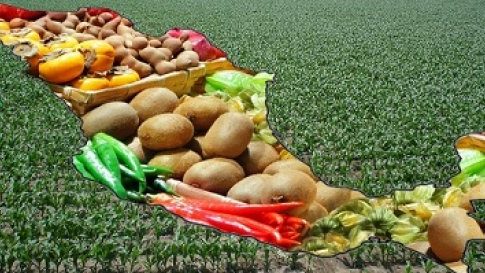 El agro mexicano vive su Mexican Moment