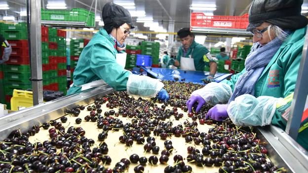 Bajan las exportaciones y suben las importaciones en la región en julio