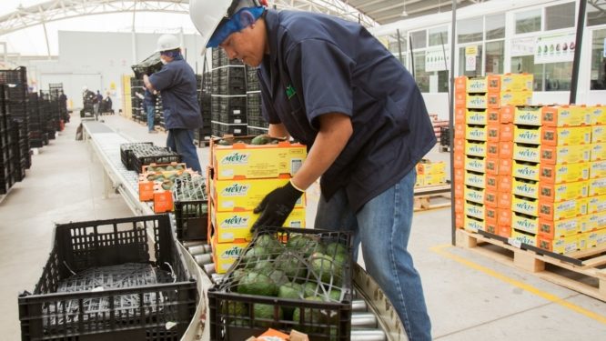 DIARIO EJECUTIVO: ¿Cambia el modelo comercial de México?