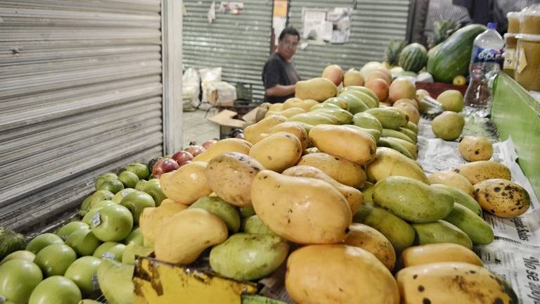 Este año se exportaron más de 88 mil 700 toneladas de mango