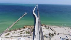 México debe buscar otros mercados y no estar atado a EU: Alberto Araujo