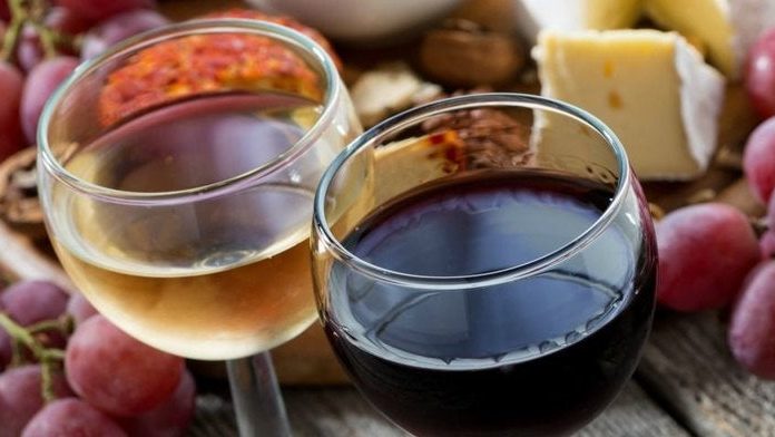 Esperan producción de 3.5 millones botellas de vino en Coahuila