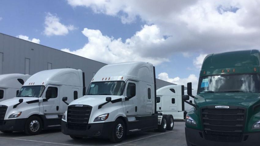 PRODUCCIÓN Y EXPORTACIÓN DE PESADOS ALCANZA NIVELES HISTÓRICOS: ANPACT