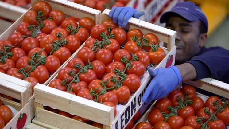 México y Estados Unidos proponen programa de libre cruce para carga agropecuaria