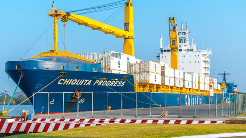 PUERTO CHIAPAS SE CONSOLIDA EN MOVIMIENTO DE CONTENEDORES